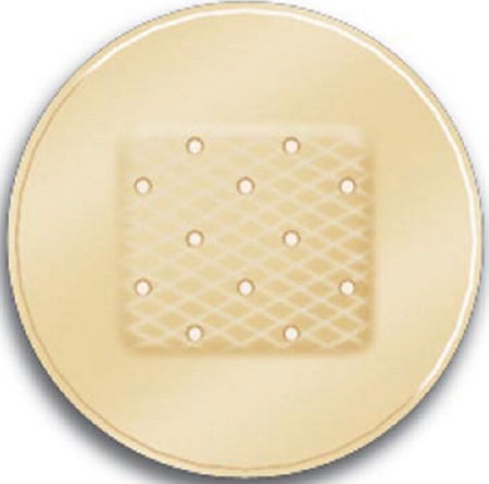 Bandages Adhesive Spot Careband™ 7/8 Inch Plasti .. .  .  